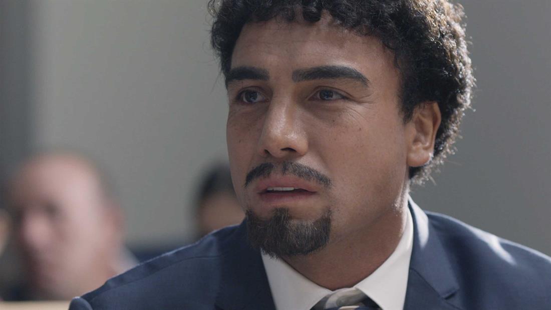 La defensa de Trino La defensa de Trino